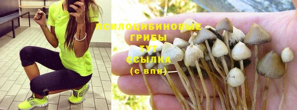 гидра Алзамай