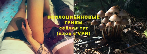 эйфоретик Алексеевка