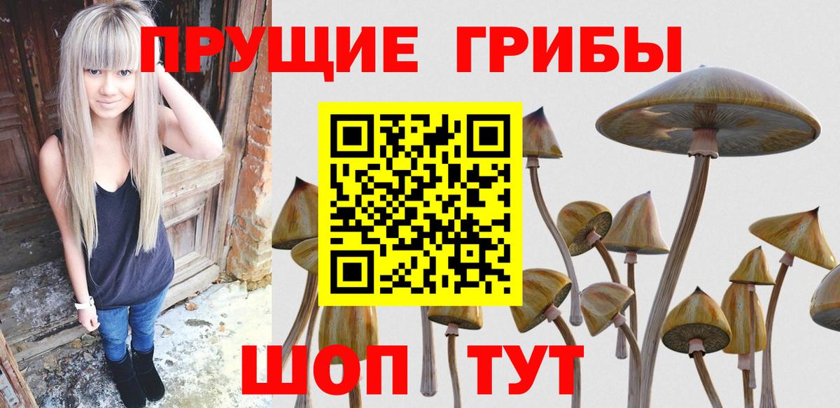 Амурск  Галлюциногенные грибы GOLDEN TEACHER  Псилоцибиновые грибы Psilocybine cubensis  Вход с VPN 