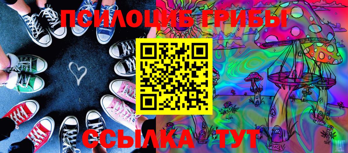 Галлюциногенные грибы Cubensis Амурск